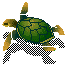 turtle3.gif